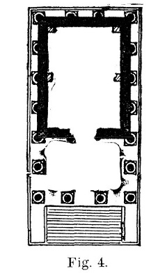 Aedes-fig4.jpg