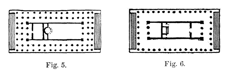 Aedes-fig5-6.jpg