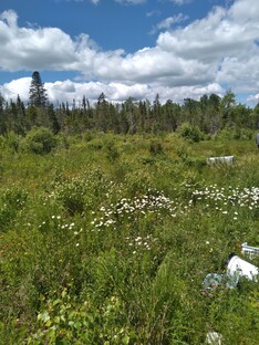 Proposed site of the shrine dedicated to Lentulus Alexander.jpg