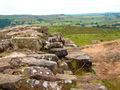 Day 3 (004) - The wall in the hills, in Wallton crags- -M-.jpg