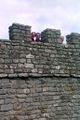 Day 3 (056) - Vindolanda - Albucius, Astur, Buteo - -Cordus- - smaller.jpg