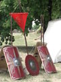 NR Flag and Shields.jpg